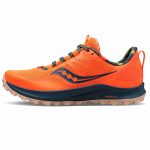 کتونی مردانه Saucony مدل Peregrine 12